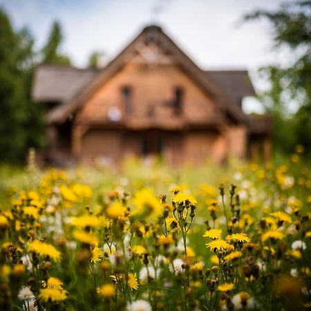 Brzozowy Gaj Bed & Breakfast Glowczyce Dış mekan fotoğraf