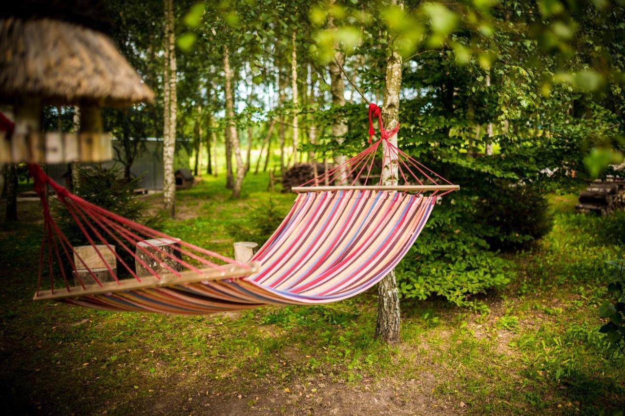 Brzozowy Gaj Bed & Breakfast Glowczyce Dış mekan fotoğraf